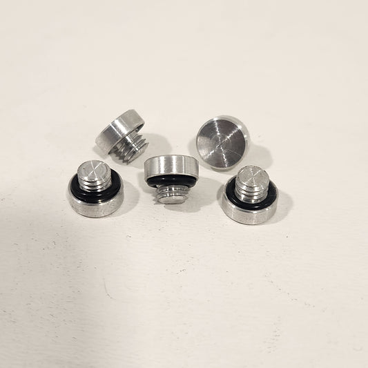 Bead lock screws
